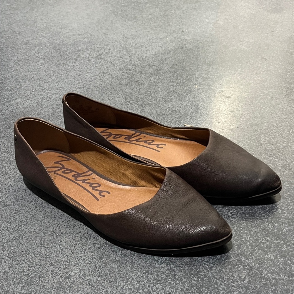 Zodiac Women's Dark Brown Loafers